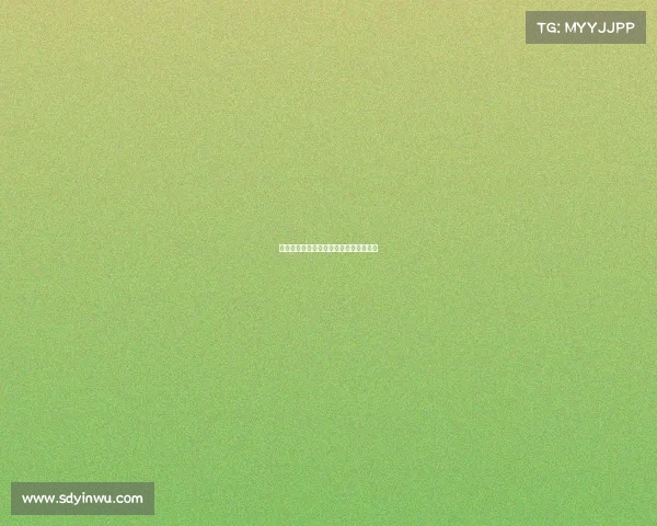 哈尔滨毅腾赛事、哈尔滨毅腾足球队现状